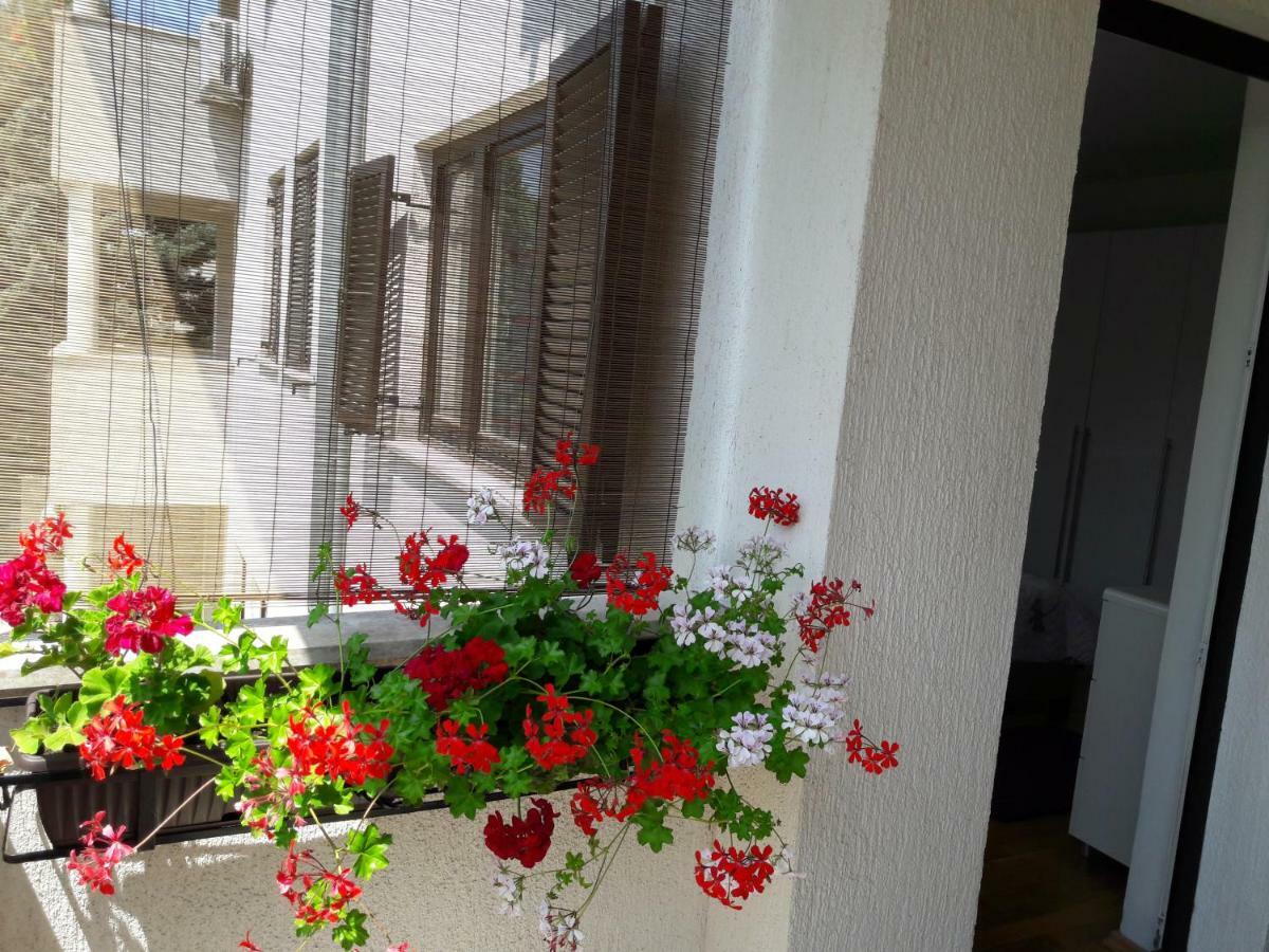 Apartments Ruzica Pula Buitenkant foto